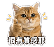 842361131
