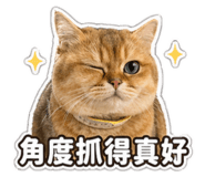 842361134