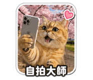 842361136