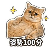 842361138