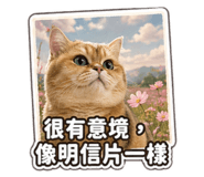842361141