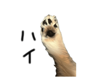 842361276