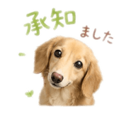 842361475
