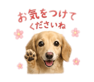 842361486