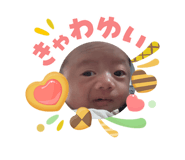 842361644