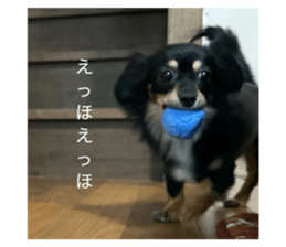 842362365