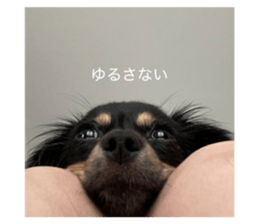842362368