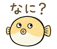 842362551