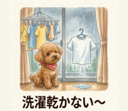 842363308