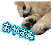 842363388