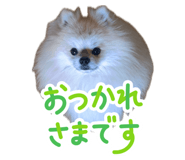 842363389