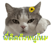 842363684