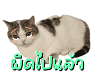 842363685