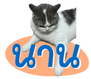 842363689