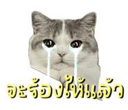 842363691