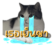 842363693
