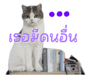 842363698