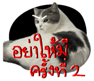 842363699