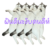 842363702