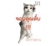 842363707