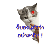 842363709