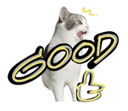 842363711