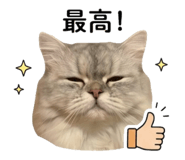 842363721