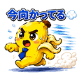 842364625