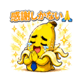 842364646