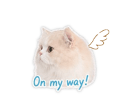 842365049