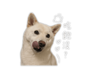 842365266