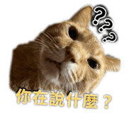 842365275