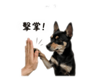 842365390