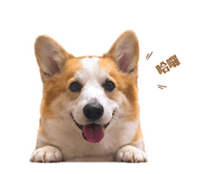 842365409