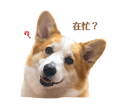 842365410