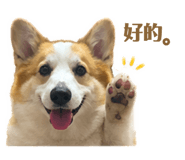 842365414