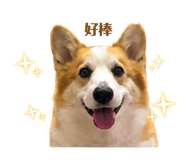842365416