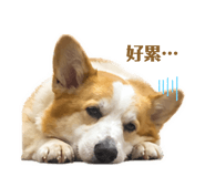 842365419