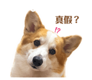 842365421
