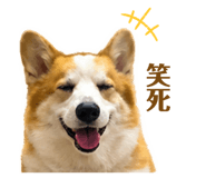 842365422