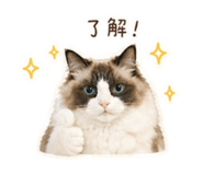 842365851
