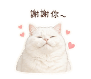 842365852