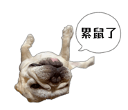 842366074