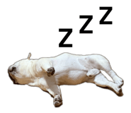 842366078