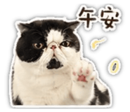 842366420
