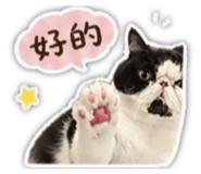842366424