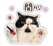 842366429