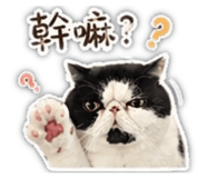 842366442