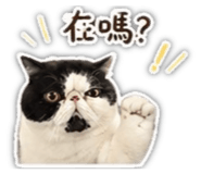 842366443