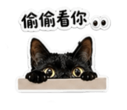 842366637
